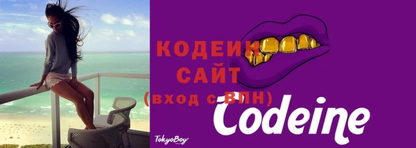 сатива Ростов