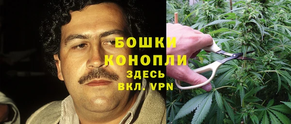 мдпв Пролетарск