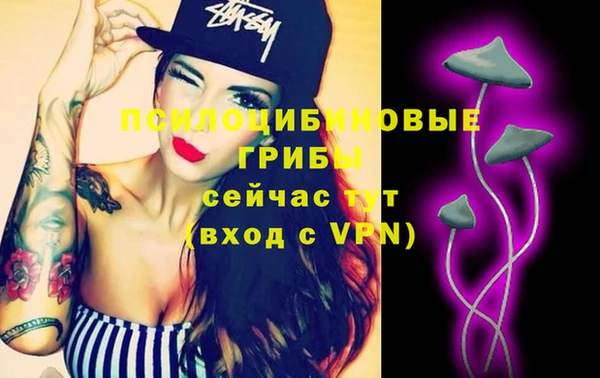 мдпв Пролетарск
