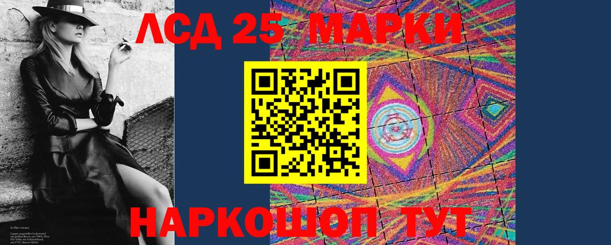 Курчатов  Марки N-bome 1500мкг  Вход с VPN  где можно купить наркотик  Марки N-bome 1500мкг 
