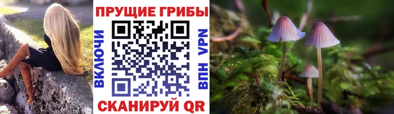 где продают наркотики  Курчатов  Галлюциногенные грибы мицелий 
