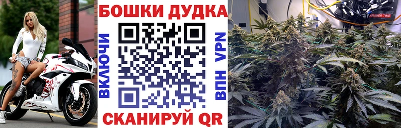 Канабис Bruce Banner где можно купить кракен ссылки Курчатов